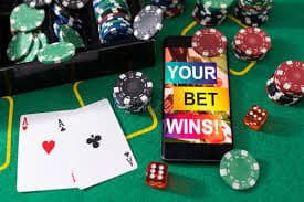 bigwin buzz